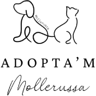 Logotip de Associació Adopta'm Mollerussa
