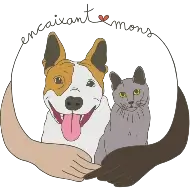 Logotip de Associació Encaixant Mons