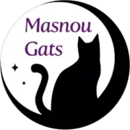 Logotip de Associació Masnougats