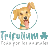 Logo of Fundación Trifolium