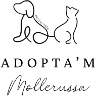 Logotip de Associació Adopta'm Mollerussa