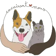 Logotip de Associació Encaixant Mons