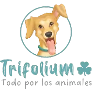 Logotip de Fundación Trifolium